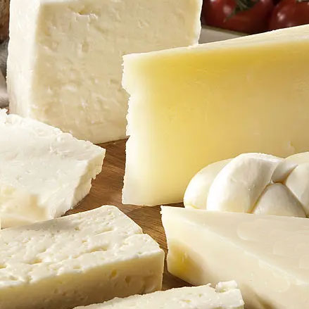 Enzyme-Modified Cheese Perfected with Amano Enzymes' Specialty Enzymes